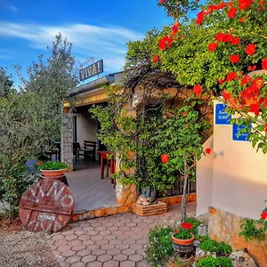 Viva Molindrio Porec